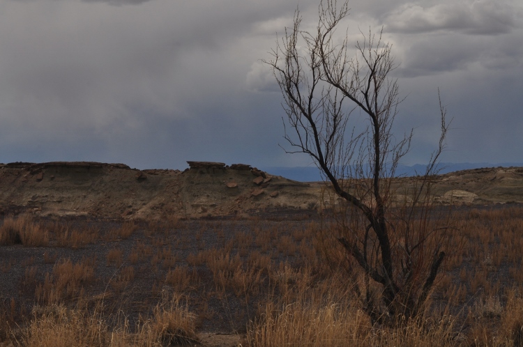 bisti wilderness